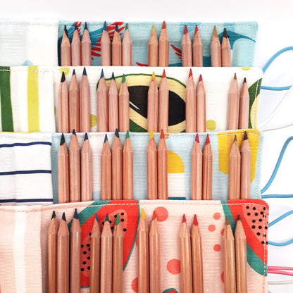 Pencil Case Small Popsicle-7